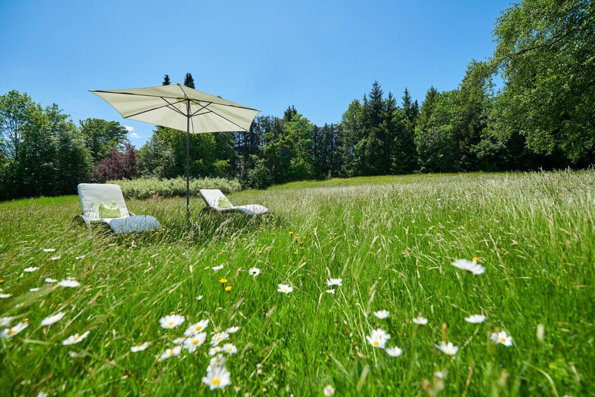Gesundes Bayern