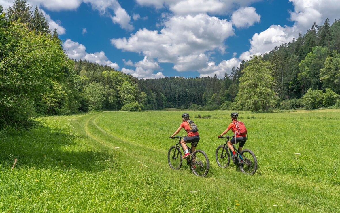 Gesundes Bayern
