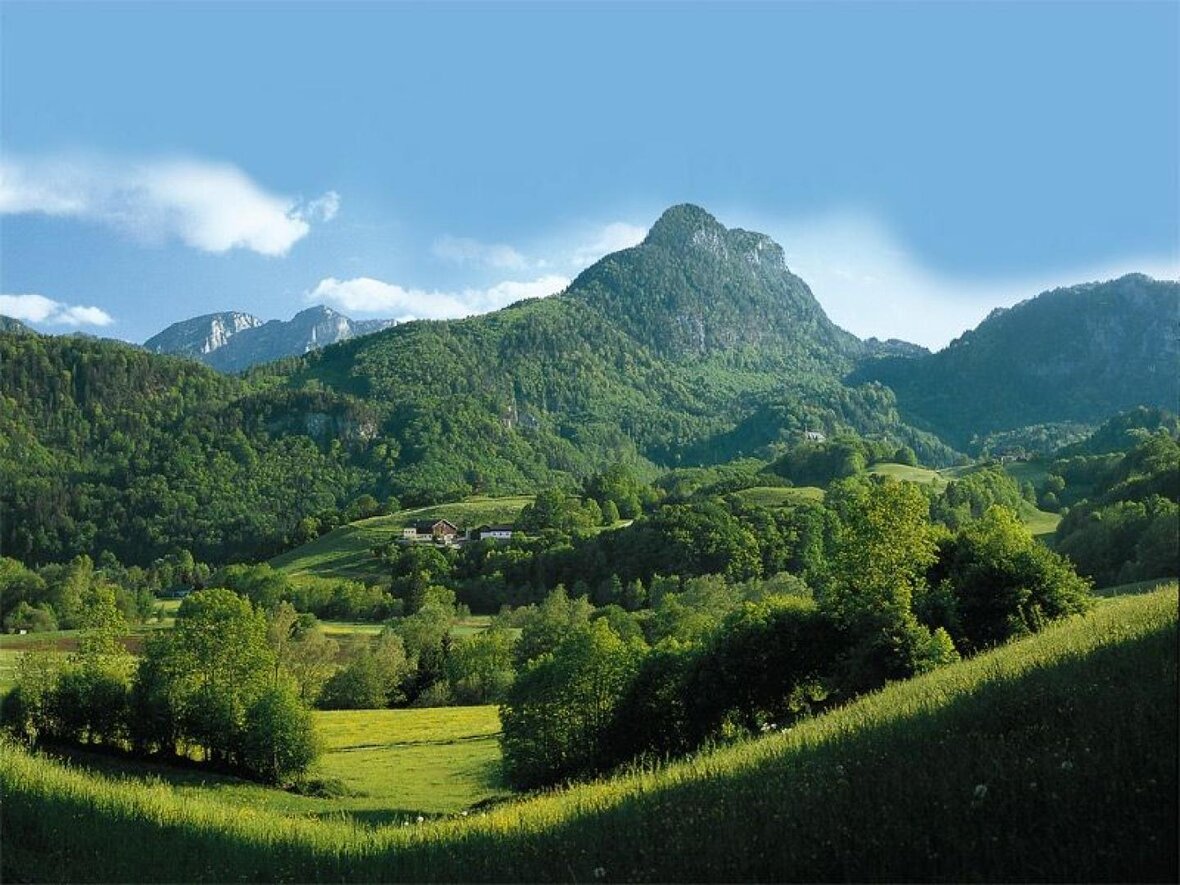 Gesundes Bayern