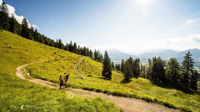 Gesundes Bayern