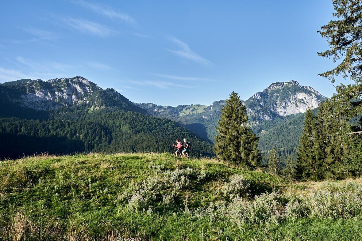 Gesundes Bayern