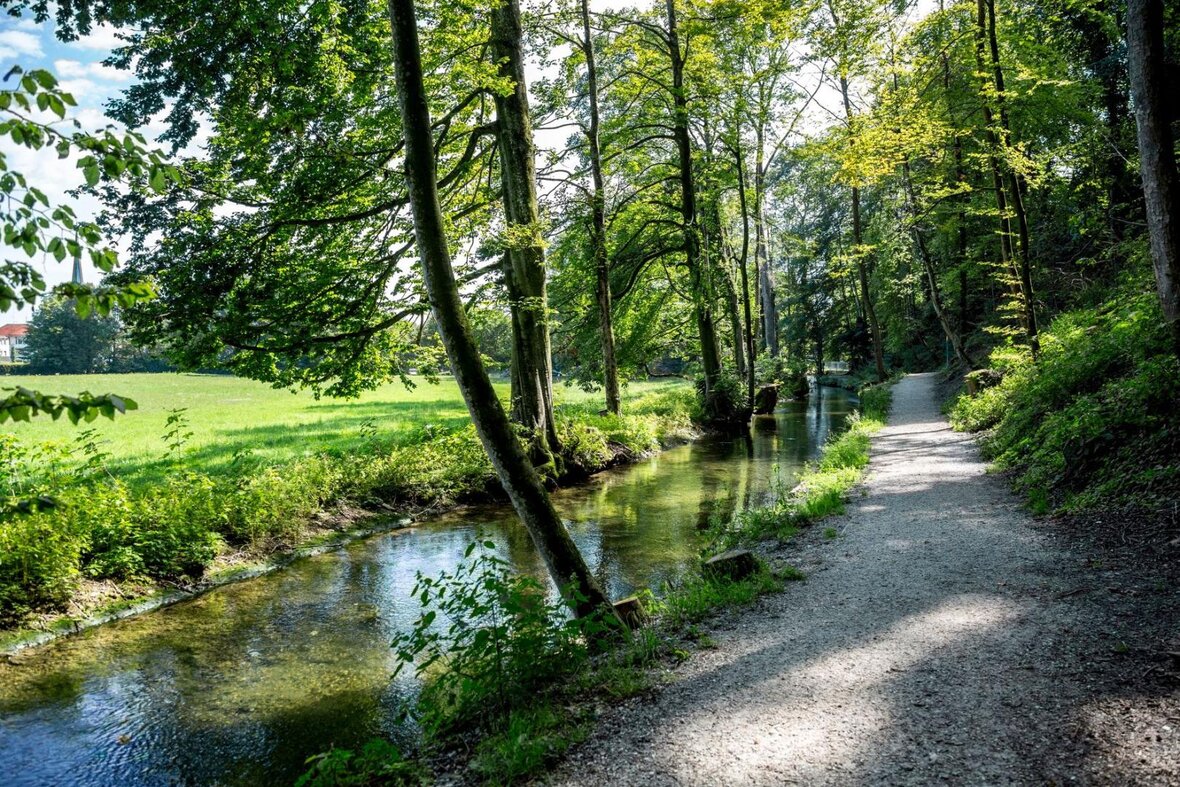 Gesundes Bayern
