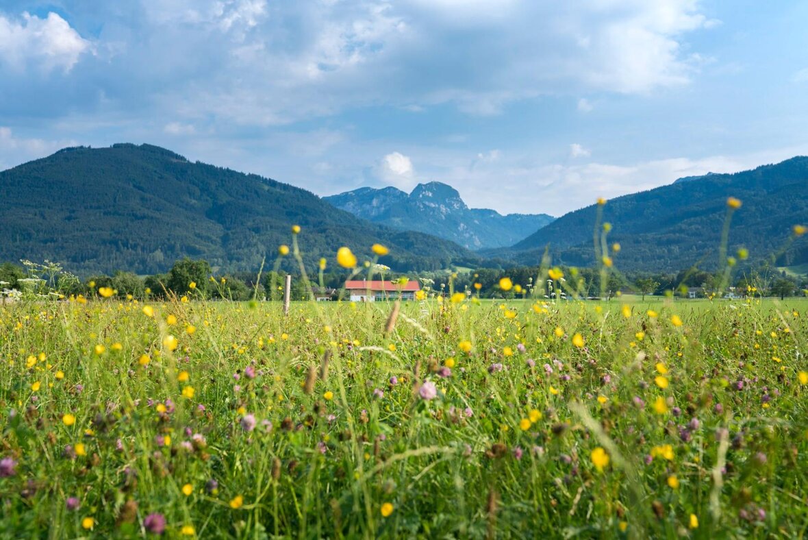 Gesundes Bayern