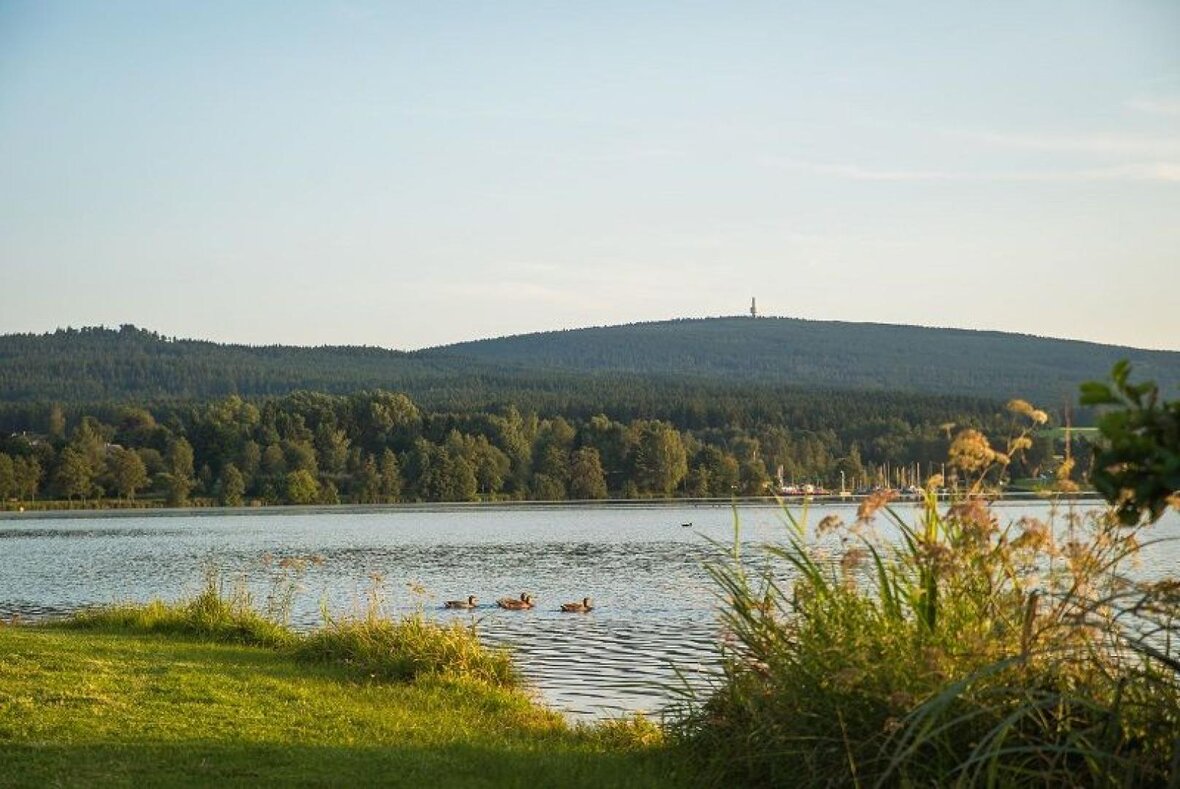 Gesundes Bayern