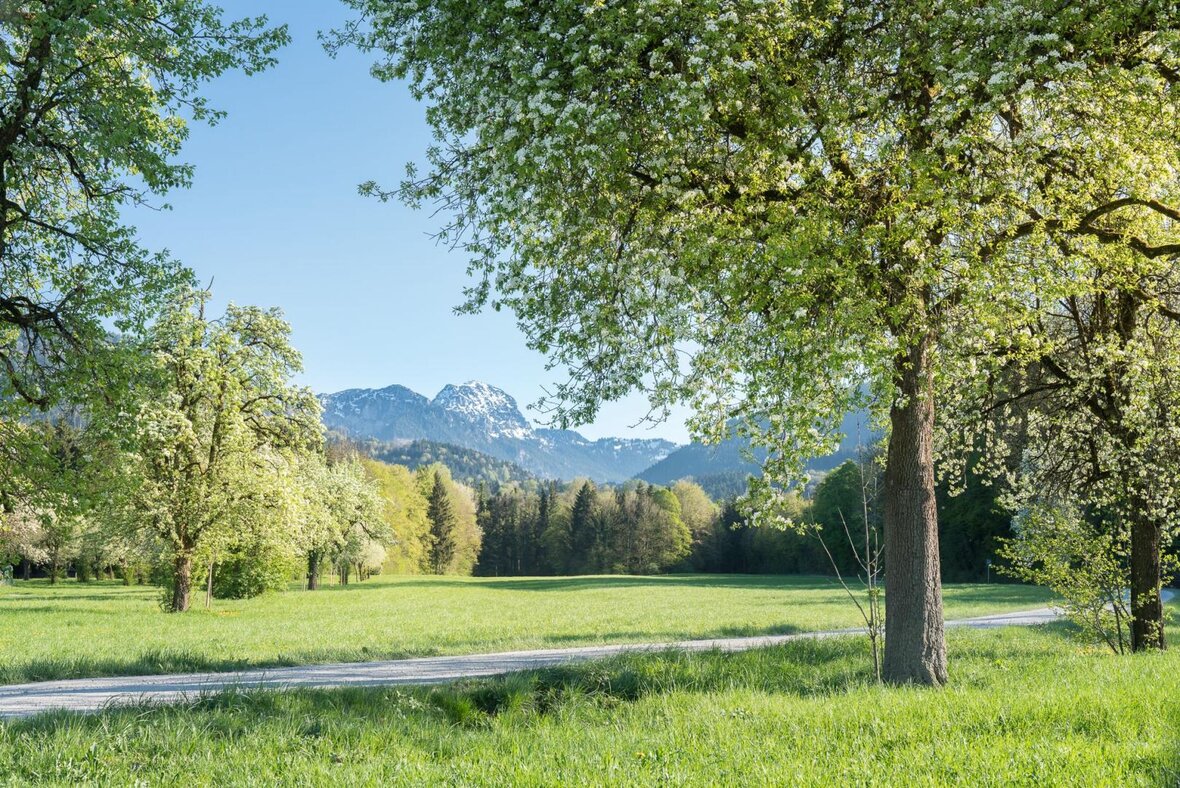 Gesundes Bayern