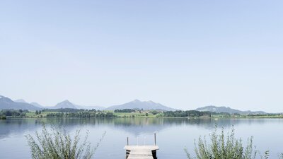 Gesundes Bayern